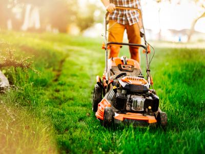 thumbnail of Lawn Care & Maintenance