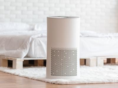 thumbnail of An Air Purifier Can Improve Your Home's Air Quality